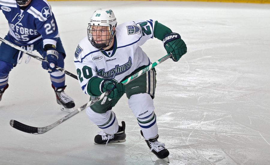 Senior Stephen Hrehoriak had seven goals and three assists for ten points for the 2016-17 season.  Hrehoriak will be trying out with the professional level Pensacola Ice Flyers of the SPHL.