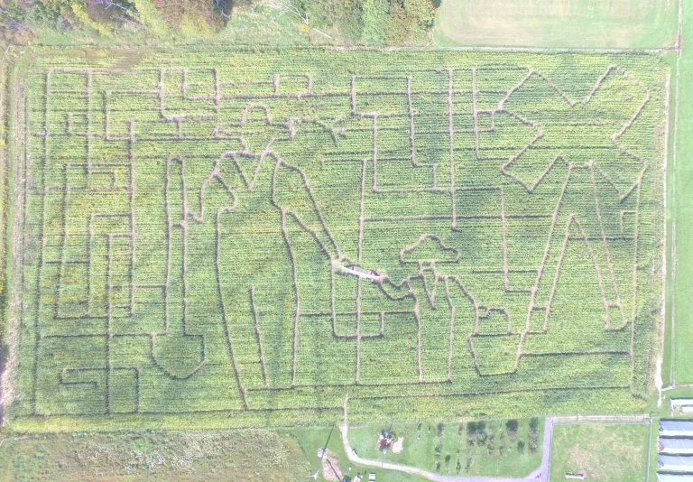 The theme for this year’s corn maze at Wooden Nickel Buffalo Farm is the farmer and the next generation.