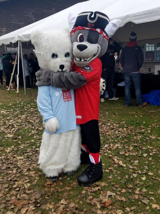 C. Wolf, the Erie SeaWolves’ mascot, gives some love to the Polar Plunge mascot, Bernice, at this year’s Erie Polar Plunge.