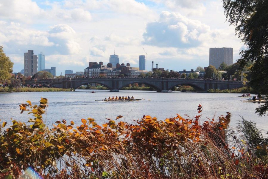 Rowing teams race on the Charles River for the annual Head of the Charles Regatta in Boston.