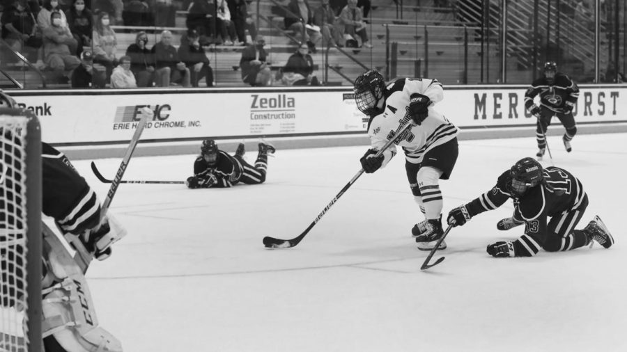 Women’s hockey plays in a two-game series