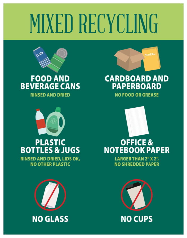 On-campus recycling resumes