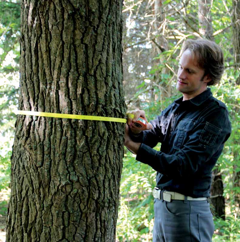 Christopher Dolanc hopes his research will bring to light the problems big trees are facing. His work has been featured in important science magazines.