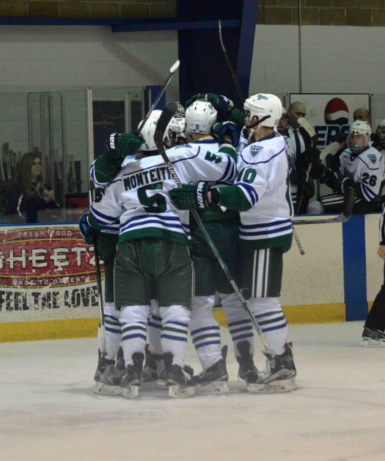 Teammates on the men’s hockey team celebrate after a goal scored during Saturday, Feb. 13’s 2-2 tie against Niagara University. Goals were scored by Lester Lancaster and Kane Elliot. 