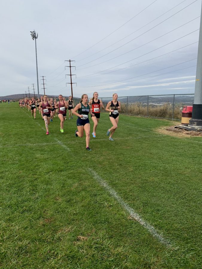 The Lakers’ Caitlyn Eschweiler leads a segment of the women’s race on Oct. 25.  The women’s team placed 15th out of 17, while the men’s placed 13 out of 15 on the day.
