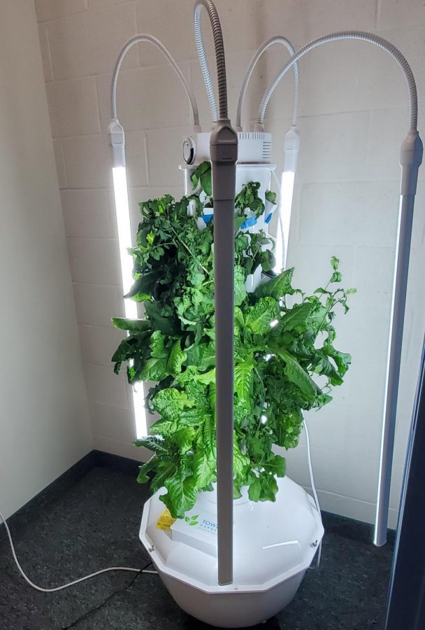 Hurst goes green with tower garden project