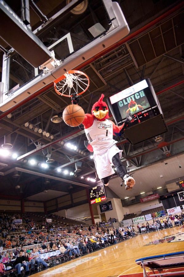 Erie Bayhawks announce ceasing of operations